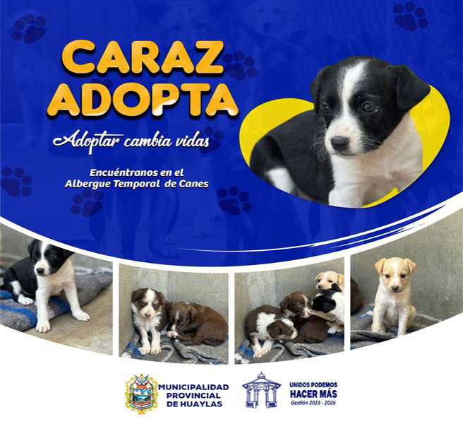 Adopta
